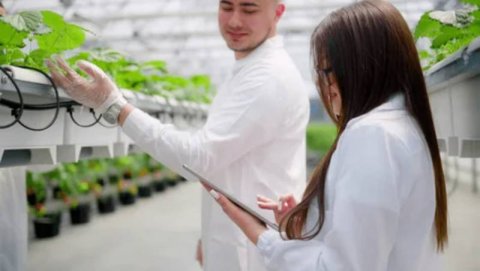 Formation Rémunérée Technicien Agricole en Alternance