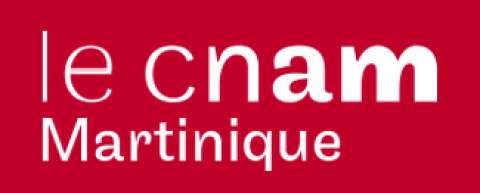 Formation  Architecte en Cybersécurité en Alternance Rémunérée au Cnam Martinique